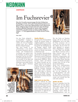 Im Fuchsrevier, Teil 2