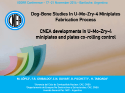 CNEA Developments in U-Mo-Zry