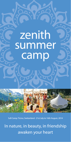 Camp 2014 Flyer pdf download