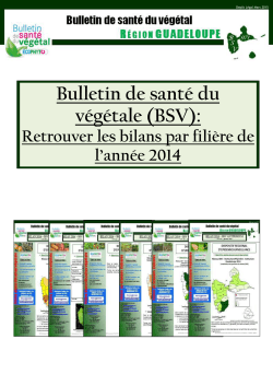 BSV971_ToutesFilieres_Bilan2014-N01