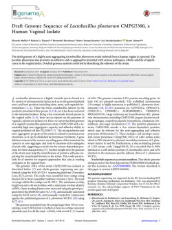 Draft Genome Sequence of Lactobacillus plantarum CMPG5300, a
