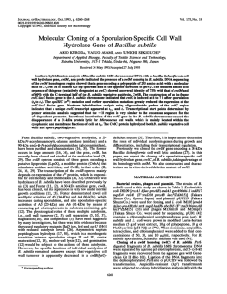 Hydrolase Gene of Bacillus subtilis