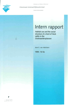 Intern rapport