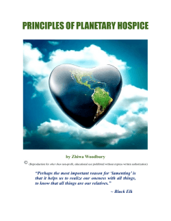 Principles of Planetary Hospice