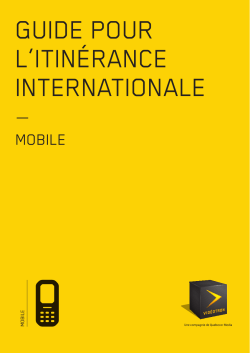 guide pour l`itin&eacute;rance internationale - Soutien