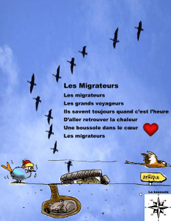 Les Migrateurs - Concordia Language Villages