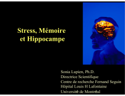 Stress, Mémoire et Hippocampe