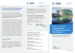 GBA Laborgruppe Biogas-Analytik und silicium