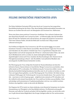 FELINE INFEKTIÖSE PERITONITIS (FIP)