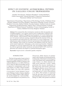 effect of synthetic antimicrobial peptides on naegleria fowleri