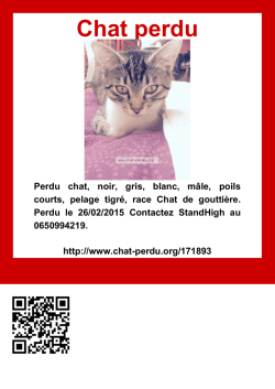 Imprimer - Chat perdu