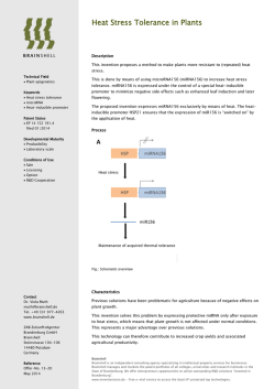 Heat Stress Tolerance in Plants