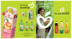 H&ouml;llinger Flyer