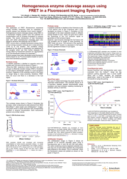 Homogeneous enzyme cleavage assays using FRET in a
