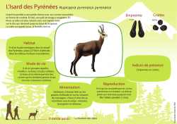 Fiche espece L`Isard des Pyr&eacute;n&eacute;es