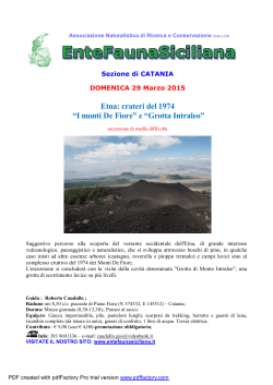 29-03-2015 Etna – i crateri del 1974