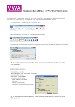 Kurzanleitung Bilder in Word komprimieren