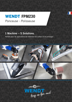 WENDT FPM230