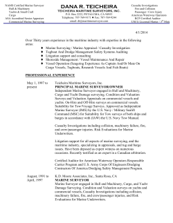 CV / Resume of Dana R. Teicheira