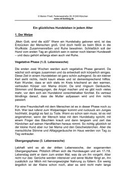 Hundeleben - Marions Tierblog