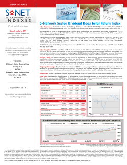 SDOGX Index Insights - S-Network Global Indexes, Inc.