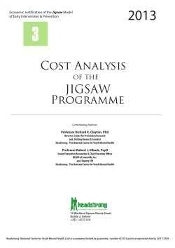 Cost Analysis JIGSAW Programme
