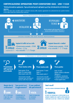 scheda infografica 2.ai