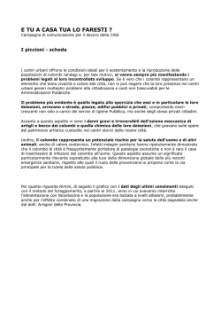 E TU A CASA TUA LO FARESTI scheda piccioni
