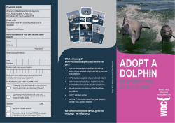 ADOPT A DOLPHIN - Whale and Dolphin Conservation