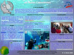 Les Bulles Catoviennes - Club de plongée de Chatou