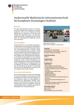 Projektumriss Audime - des Bundesministeriums f&uuml;r Bildung und