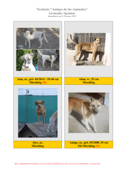 Hunde Albolote Februar 2015