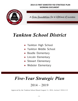 YSD Strategic Plan-Updated Working Document