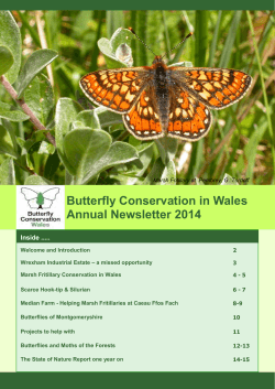 Butterfly Conservation in Wales Annual Newsletter 2014