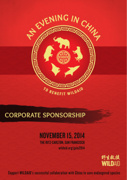 corporate sponsorship brochure