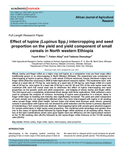 Effect of lupine (Lupinus Spp.) intercropping and seed proportion on