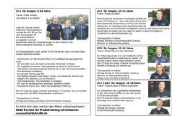 Info-Flyer