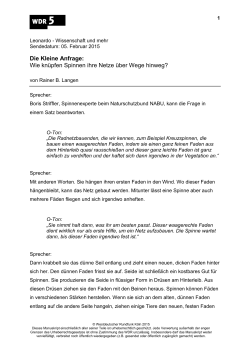 Die Kleine Anfrage - Netzbaukunst (PDF-Download: 64,7 KB)