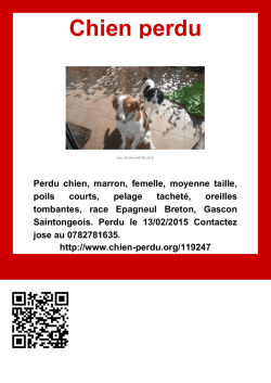 Imprimer - Chien perdu