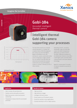 Gobi-384