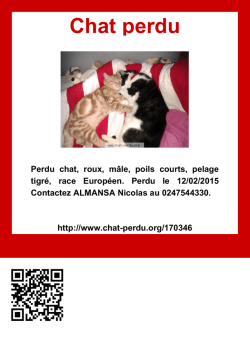 Imprimer - Chat perdu
