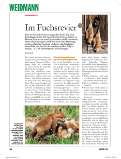 Im Fuchsrevier, Teil 1