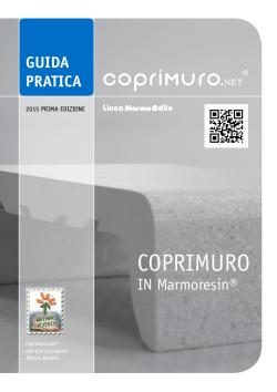 Guida Pratica - Coprimuro.net