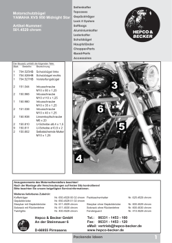 Yamaha XVS 950 Motorschu#1AFA71