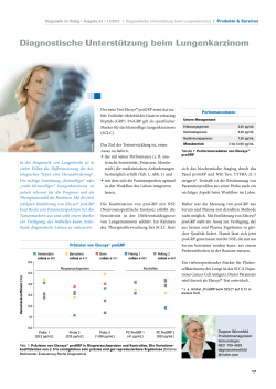 Diagnostische Unterstützung beim Lungenkarzinom