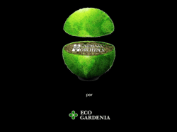 Presentazione di PowerPoint - Ceramiche Gardenia Orchidea