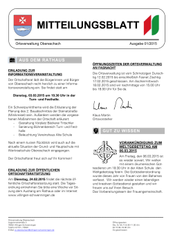Aktuelles Mitteilungsblatt (PDF) - Villingen