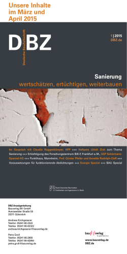 DBZ Deutsche Bauzeitschrift Themeninfo ( 198,3 kB )