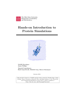 Hands-on Introduction to Protein Simulations