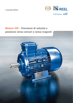 Motore SSP – Precisione di velocità e posizione senza